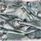 Мако-сатин с принтом - 5303А (отрез 9,25м) SPR-5303A-10